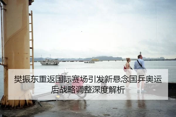 樊振东重返国际赛场引发新悬念国乒奥运后战略调整深度解析