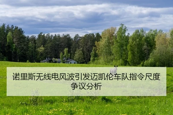 诺里斯无线电风波引发迈凯伦车队指令尺度争议分析