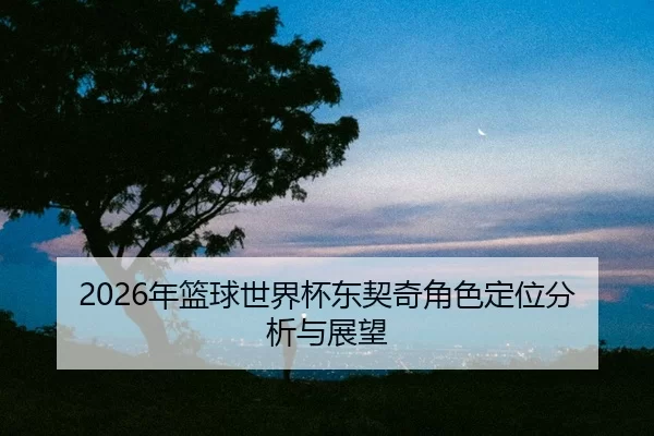 nian-lan-qiu-shi-jie-bei-dong-qi-qi-jue-se-ding-wei-fen-xi-yu-zhan-wang-2-586.jpg