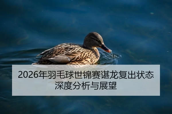2026年羽毛球世锦赛谌龙复出状态深度分析与展望
