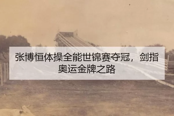 张博恒体操全能世锦赛夺冠，剑指奥运金牌之路